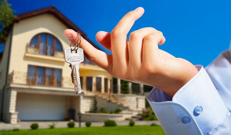 Terrain à vendre : voici quelques conseils avant d’acheter