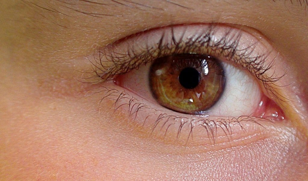 les lentilles pour yeux