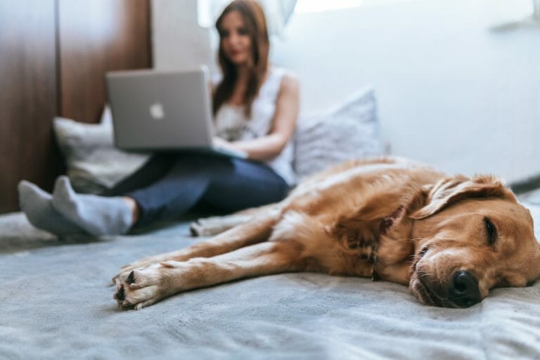 Code de l’assurance : que faut-il savoir à propos du contrat d’assurance habitation ?